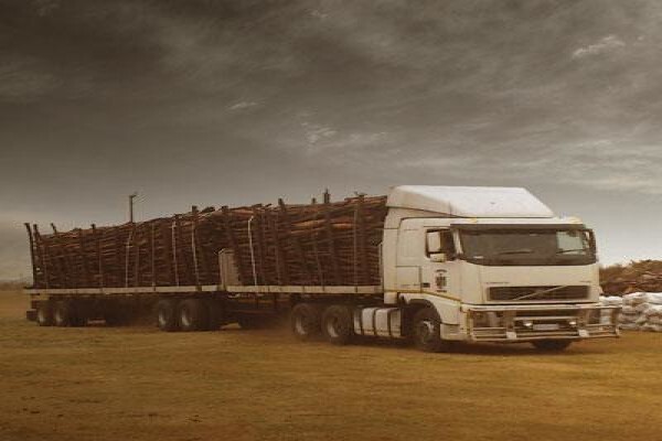 Firewood
