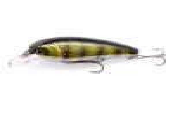 Fishing Tackle Shop Pretoria