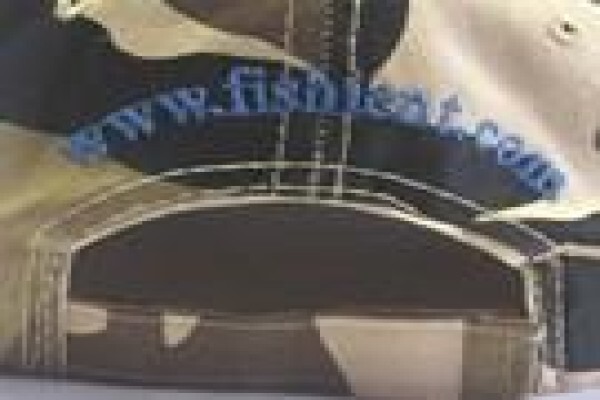 Fishient