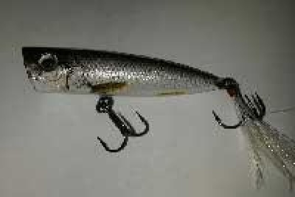 Fishing Tackle Shop Pretoria
