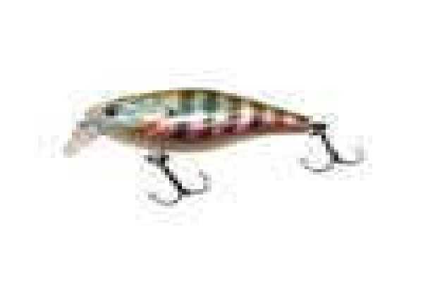 Fishing Tackle Shop Pretoria
