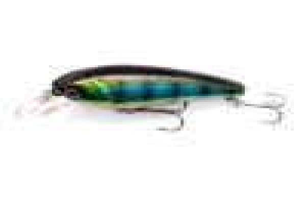 Fishing Tackle Shop Pretoria