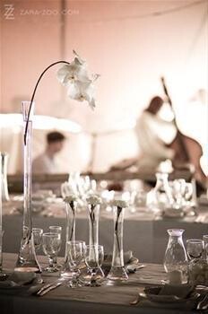 Flower Euphoria