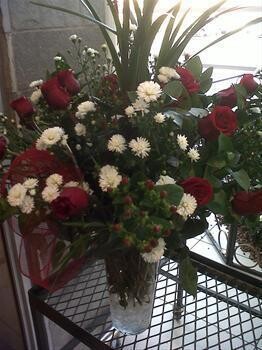 Flowers For Africa - Edenvale