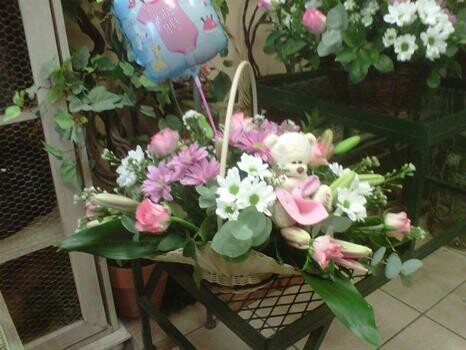 Flowers For Africa - Edenvale