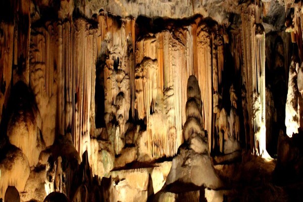 Gecko Tours
