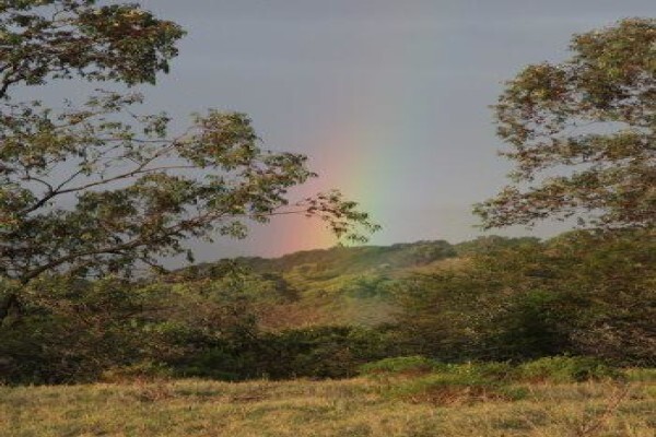 Gem Safaris