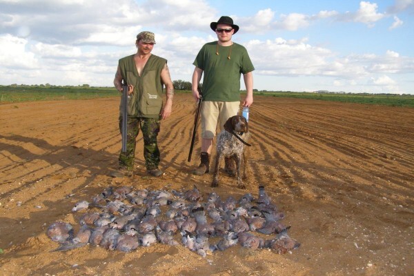 Gem Safaris