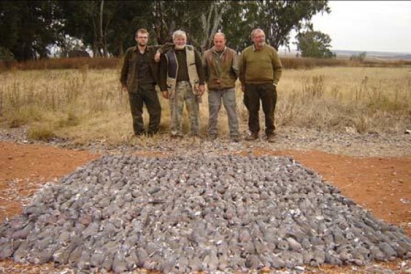 Gem Safaris