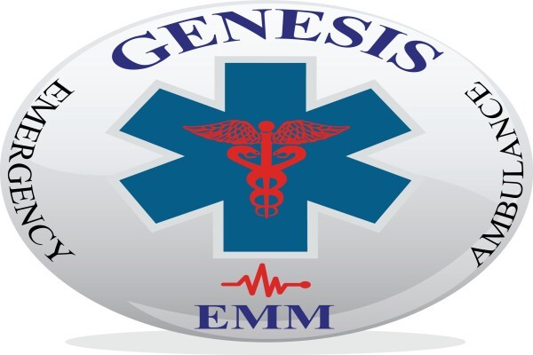 Genesis Ems