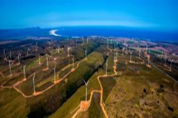 Genesis Eco-Energy