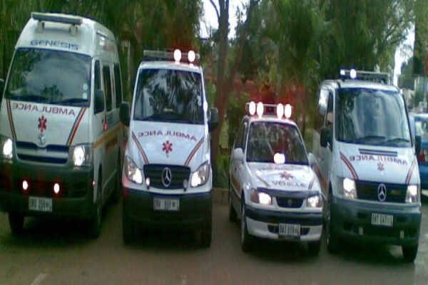 Genesis Ems