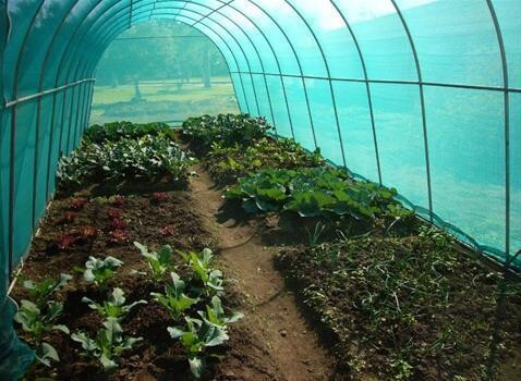 Geo-Green Environmental Solutions