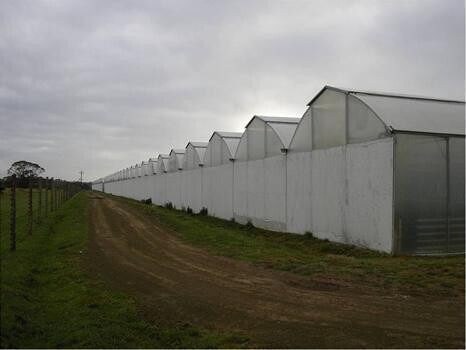 Greener Solutions