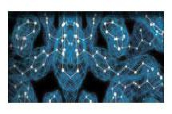 Interconsilium