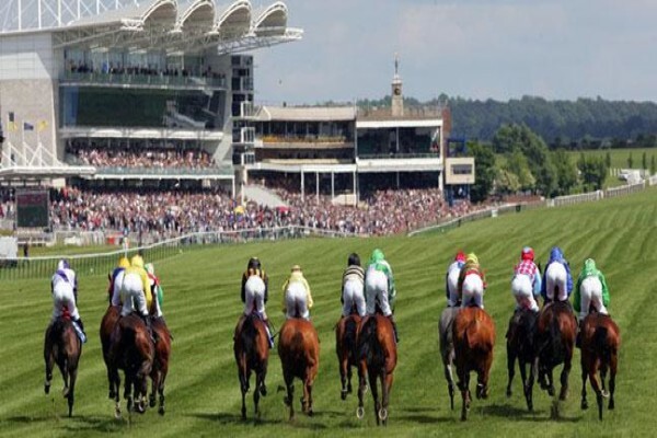 International Racing Bureau