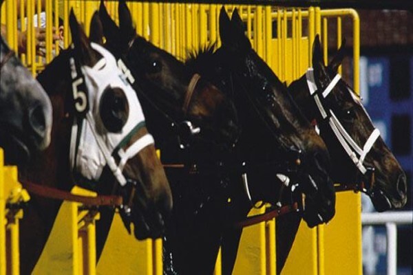International Racing Bureau