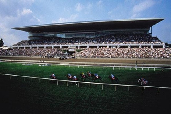International Racing Bureau