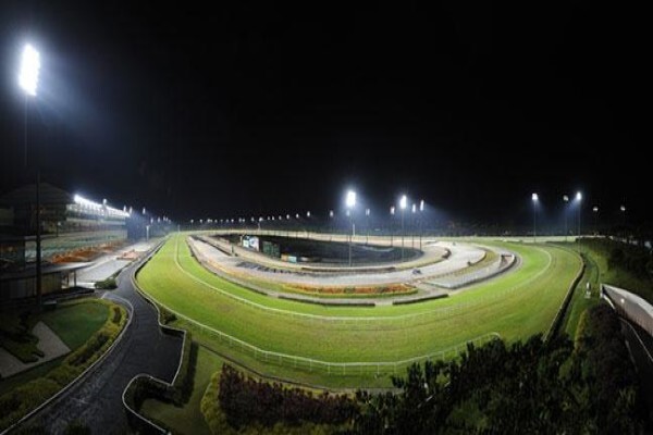 International Racing Bureau