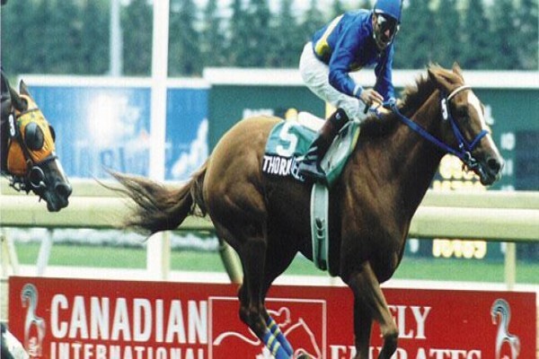 International Racing Bureau