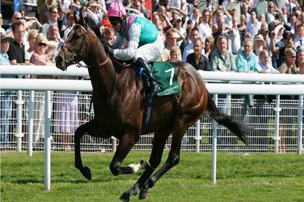 International Racing Bureau