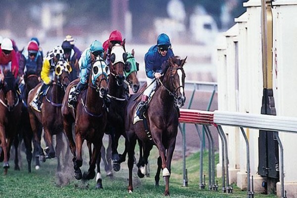 International Racing Bureau