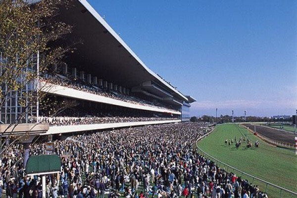 International Racing Bureau