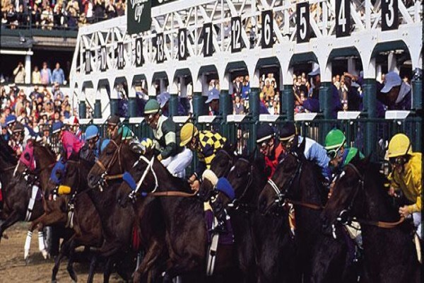 International Racing Bureau