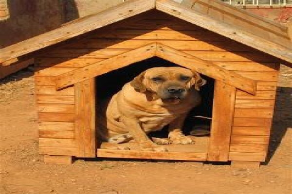 Irwin Animal Rescue Centre