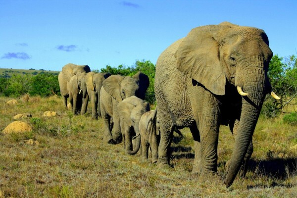 Incredible Tours And Travel
