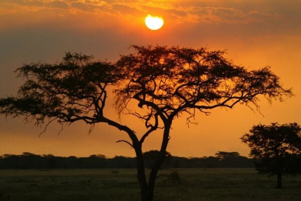 Incredible Tours And Travel