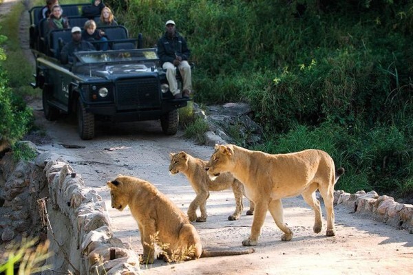 Incredible Tours And Travel
