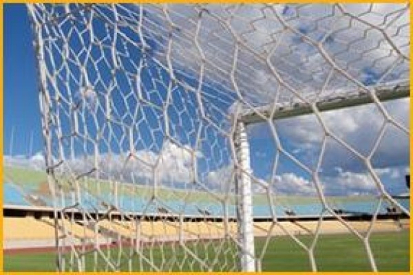 Industrial Netting