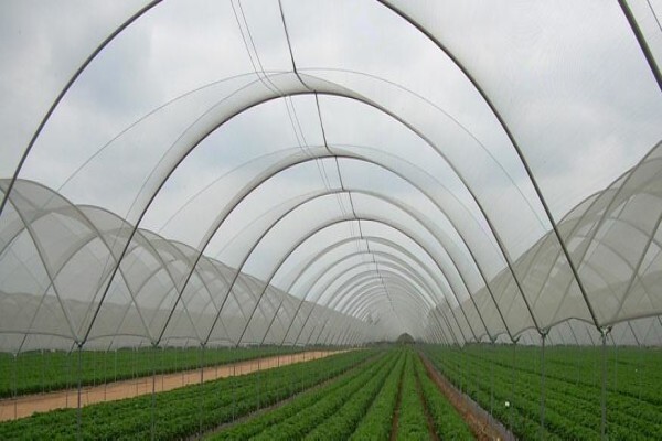 Industrial Netting