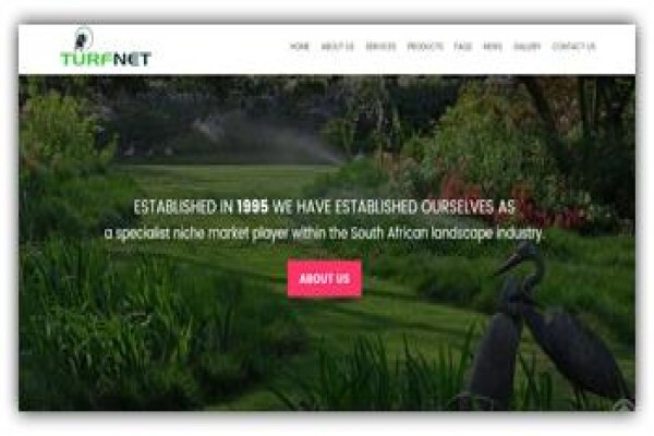 Infobuzz
