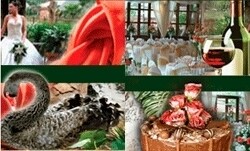 Safari Restaurant & Conference Centre