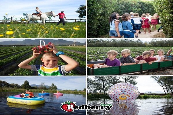 Kidspartyvenues.Co.Za
