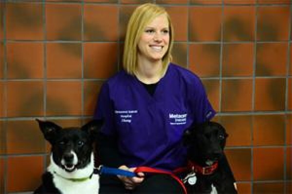 Kirkwood Animal Hospital