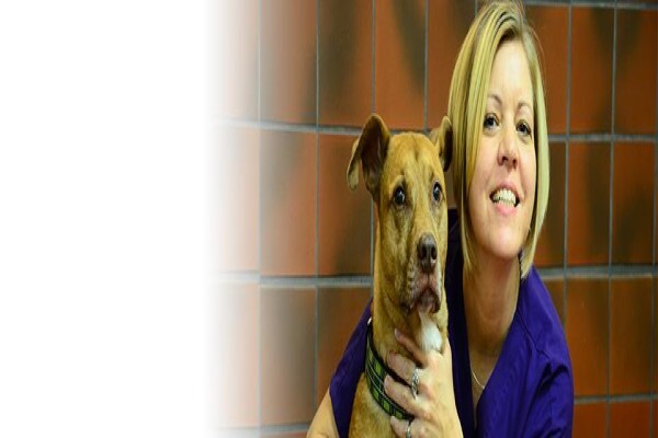 Kirkwood Animal Hospital