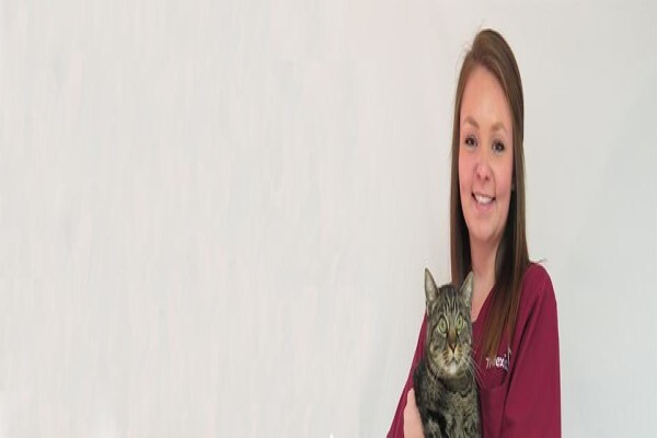 Kirkwood Animal Hospital