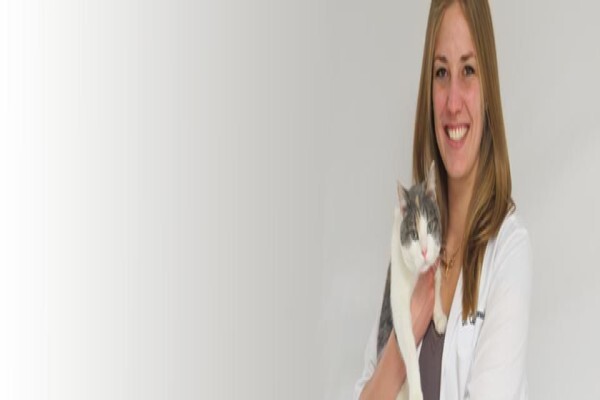 Kirkwood Animal Hospital