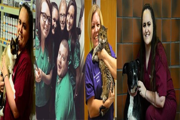 Kirkwood Animal Hospital