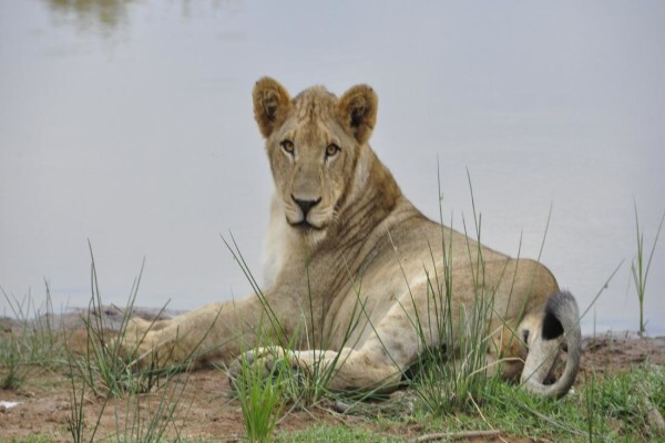 Kwalata Game Ranch