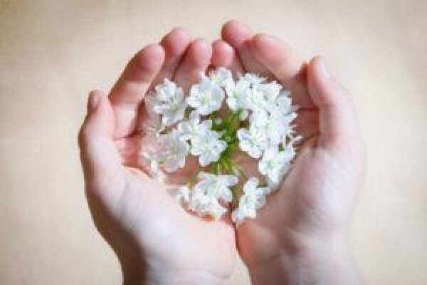 Knysna Sedgefield Hospice