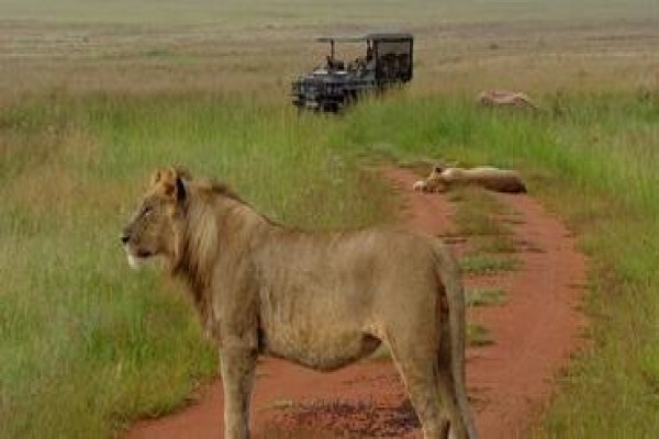 Kololo