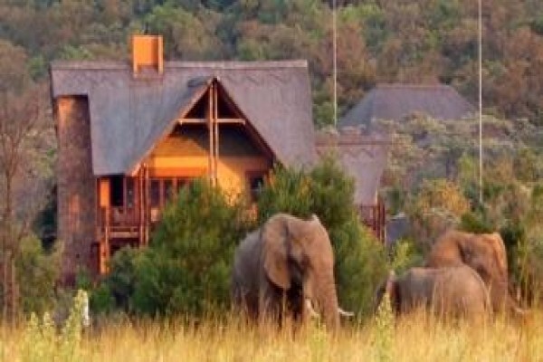 Kololo