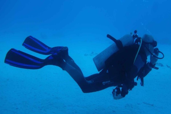 Learn To Dive Today