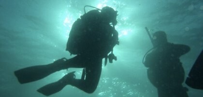 Learn To Dive Today