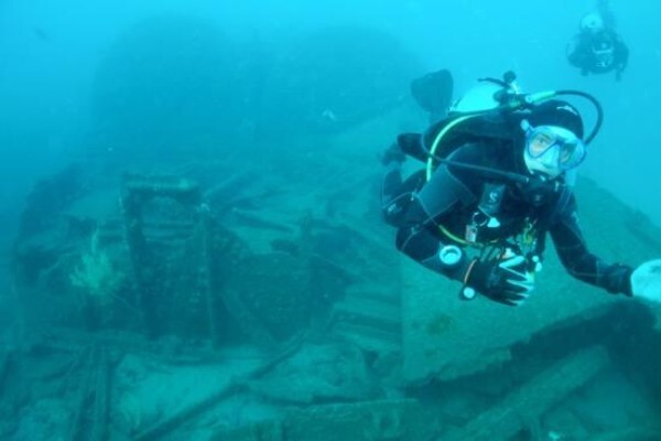Learn To Dive Today