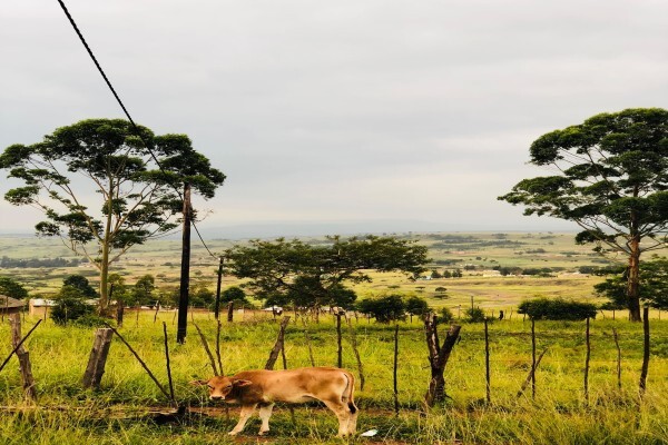 Kwazulu Mission